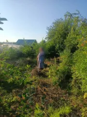 Земельный участок 401 кв.м, Кировская область, СДТ Боровое-Ганино. Участок в Кирове, 401+/-7.0 кв.м, назначение: земли сельскохозяйственного назначения, вид разрешенного использования: для коллективного садоводства, адрес (местонахождение): Кировская обл, г Киров, тер сдт Боровое-Ганино…