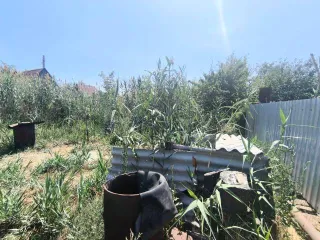 Земельный участок под садоводство площадью 635 кв.м. расположен по адресу: Россия, Астраханская область, г. Астрахань, р-н Советский, с/т "Монтажник" АОРПС, с/уч-к № 4, кадастровый номер: 30:12:032081:125. Граница земельного участка не установлена в соответствии с требованиями земельного…