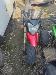 ВАЗ, LADA, Chevrolet, Nissan, Citroen, Daewoo, Renault, LIFAN, Mitsubishi. Легковые автомобили в различном техническом состоянии. Объем двигателя: 1499, 1587, 1568, 1489, 1399, 1598, 1349, 1498. Год выпуска: 2002, 1998, 2006. Государственный регистрационный знак: М584ВЕ57, Е203СМ57. Мощность…