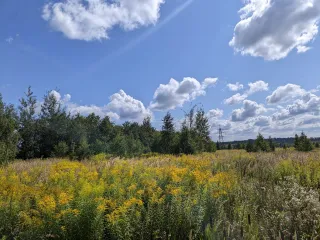 Земельные участки под производство площадью 10 000 +/- 175 кв. м и 63 018 +/- 439 кв. м в Московской области, Чеховском районе, с.п. Стремиловское, в районе деревни Сергеево. Категория земель: земли промышленности, энергетики, транспорта, связи, радиовещания, телевидения, информатики, а также земли…