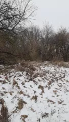 Земельный участок площадью 36 432  кв. м, кадастровый номер 32:14:0160201:275 Земельный участок площадью  36 432  кв. м, кадастровый номер 32:14:0160201:275, из земель сельскохозяйственного назначения, вид разрешенного использования: выращивание зерновых и иных сельскохозяйственных культур…