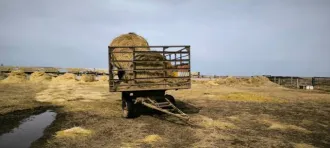 Прицеп 2ПТС-4 1987 года выпуска, красный, государственный номер 9962 СТ34.