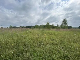 Земельный участок 2010 м², КН 50:33:0020428:1381, ВРИ 2.1. Площадь земельного участка: 2010. Кадастровый номер земельного участка: 50:33:0020428:1381. Основной вид разрешенного использования: 2.1