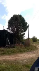Земельный участок, площадь: 1 240 кв.м., категория земель: Земли населенных пунктов, разрешенное использование: Для ведения личного подсобного хозяйства, кадастровый номер: 52:05:0130003:6. Адрес (местонахождение): Российская Федерация, Нижегородская обл, Уренский муниципальный район, сельское…