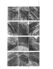 Chevrolet Cruze 2013 года выпуска, VIN XUFJA696JD3031595. Двигатель 1.6 л (1598 см³), мощность 109 л.с., цвет кузова — черный металлик. Экологический класс 4. Сведения о коробке передач и приводе отсутствуют. Техническое состояние, регистрационные документы, ключи и автомобиль организатору торгов…