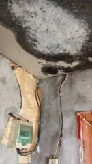 1/4 доли дома и участка в Азове, площадь 31.6 кв.м., Ростовская область, кад. номер 61:45:0000350:9539, местоположение: Ростовская область, г. Азов, пер. 14-ый Линейный, д. 209, вид разрешенного использования объекта недвижимости: жилое, и ¼ доля земельного участка, кад. номер 61:45:0000350:3907…