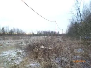 Земельный участок с кадастровым номером 47:07:1039005:780 общей площадью 3 213 кв.м расположен по адресу: Ленинградская область, Всеволожский муниципальный район, Всеволожское городское поселение, г.Всеволожск