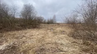 Аренда земельного участка 1 300 кв.м. для ЛПХ в г.о. Клин (КН 50:03:0030315:725) Аренда земельного участка 1 300 кв.м. для ЛПХ в г.о. Клин (КН 50:03:0030315:725) 
Площадь земельного участка: 1300 
Кадастровый номер земельного участка: 50:03:0030315:725 
Вид разрешённого использования земельного…