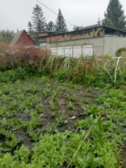 Земельный участок с кадастровым номером 55:36:150426:40, 512 кв.м., адрес: Омская область, г Омск, Центральный АО, СНТ Спектр, участок 232. Виды разрешенного использования объекта недвижимости: Садоводство. Особые отметки: Граница земельного участка не установлена в соответствии с требованиями…