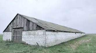 Нежилое здание 1179,4 кв.м и земельный участок 11298 кв.м, Курганская область Нежилое, площадь 1179,4 кв.м., кадастровый номер 45:01:011004:285, количество этажей 1, в том числе подземных 0, адрес (местоположение) объекта: Российская Федерация, Курганская область, муниципальный округ Альменевский…