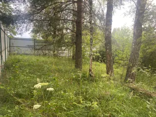 Земельный участок 750 кв.м Московская область для индивидуального садоводства. Местоположение установлено относительно ориентира, расположенного в границах участка. Почтовый адрес ориентира: обл. Московская, р-н Талдомский, д. Кушки. Кадастровый номер 50:01:0060351:34