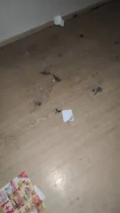 Квартира 32,1 кв.м, Новосибирск, Лазурная улица, дом 32, квартира 116. Площадь общая 32,1 кв.м: жилая 13,3 кв.м, кухни 9,6 кв.м.