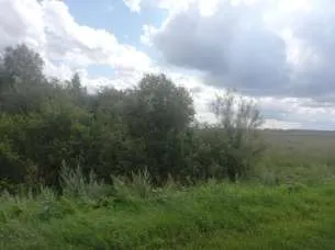 Право долгосрочной аренды земельного участка площадью 1 943 853 кв.м, кадастровый номер: 02:47:121101:10, адрес: Местоположение установлено относительно ориентира, расположенного в границах участка. Почтовый адрес ориентира: Республика Башкортостан, р-н. Уфимский, с/с. Николаевский. Имеются…