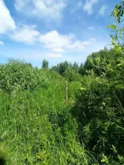 Объект незавершенного строительства площадью 85,3 кв.м, назначение: Нежилое, адрес: Россия, Нижегородская область, Городецкий район, поселок имени Тимирязева, улица Советская, дом 63, кадастровый номер: 52:15:0070321:561, вид собственности: индивидуальная. На земельном участке площадью 1500 кв.м…