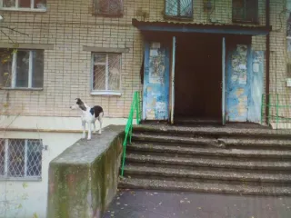 Нежилое помещение, нежилое, Ставропольский край, город Ставрополь,  улица Объездная, 8, помещение № 74, площадью 8,2 кв. м, этаж: 01, кадастровый номер 26:12:030306:810. Наименование: нежилое, назначение: нежилое помещение, помещение № 74, этаж: 01, площадью 8,2 кв. м, кадастровый номер…