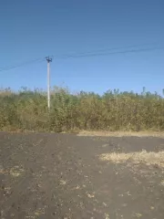 Земельный участок, общей площадью 2000 кв.м., категория земель: земли населенных пунктов, виды разрешенного использования: для ведения личного подсобного хозяйства, кадастровый номер 46:21:070301:27
По адресу Россия, Курская область, р-н Советский, с/с Краснодолинский, пос. Соколовка, дом 37/2
В…