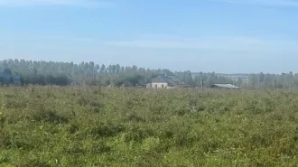 Аренда земельного участка из земель населённых пунктов площадью 1204 кв.м (кадастровый номер 38:06:100401:1104, адрес:  Российская Федерация, Иркутская область, Иркутский муниципальный район, Хомутовское сельское поселение, деревня Талька, переулок Байкальский, земельный участок 7). земельный…