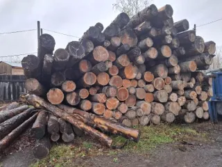 Древесина лиственницы, сосны, ели, пихты 84.4 м3, Красноярский край. 157 стволов деревьев пород лиственница, сосна, ель, пихта - 84.427 м3. Срублен предположительно 2022 год. Хранился на открытой площадке, почернел. Находится Красноярский край, Мотыгинский район, п. Кулакова, на данный момент…