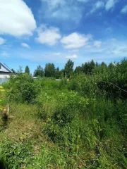 Объект незавершенного строительства площадью 85,3 кв.м, назначение: Нежилое, адрес: Россия, Нижегородская область, Городецкий район, поселок имени Тимирязева, улица Советская, дом 63, кадастровый номер: 52:15:0070321:561, вид собственности: индивидуальная. На земельном участке площадью 1500 кв.м…