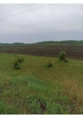 Земельный участок 1 527 600 кв.м, Курганская область 2/12 доли земельного участка в Курганской обл. еще 2/12 доли земельного участка в Курганской обл. еще 2/12 доля в праве на земельный участок, площадь: 1 527 600кв.м., адрес (местонахождение): Курганская область, р-н Куртамышский, с Пепелино, ТОО…