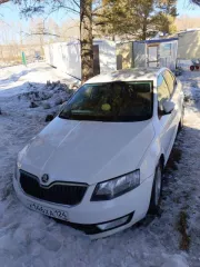 SKODA OCTAVIA, 2014 года выпуска, VIN XW8AC6NE2EH021495