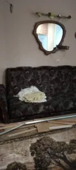 Доля комнаты 11,2 кв.м, г. Новосибирск 1/4 доля комнаты в Новосибирске еще 1/4 доля комнаты в Новосибирске еще 1/4 доли в праве на жилое помещение, общей площадью 11,2 кв.м., с кадастровым номером 54:35:033065:1992, расположенное по адресу: г. Новосибирск, тер. Горбольницы, д. 3, кв. 120