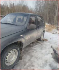 Chevrolet Niva 2011 года, 80 лс, 129362 км, полный привод, VIN: X9L212300C0374081