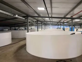 Строительство фермы по выращиванию форели по адресу д. Мещеряково Промпарк «Буинск» Буинского муниципального района, кадастровый номер 16:14:140102:762, общая площадь 1 432,0 кв.м. (в залоге АО «Татагролизинг»); Административное здание, кадастровый номер 16:14:140102:763, общая площадь 57,4 кв.м…