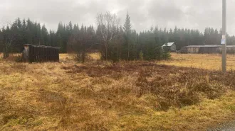 Земельный участок 2000 кв.м и хозпостройка 9 кв.м, п. Синегорский, Свердловская область. Земельный участок, площадью 2000 кв.м., с кадастровым номером 66:19:0501001:187, расположенный по адресу: обл. Свердловская, р-н Пригородный, п. Синегорский, ул. Мира, дом. 37; Хозяйственная постройка, площадью…