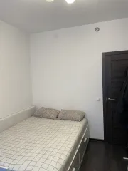 Квартира, кадастровый номер 78:40:0008501:43293