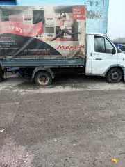 ГАЗ 3302, 2002, VIN: XTH33020021868701, цвет: снежно-белый, вид права: собственность.