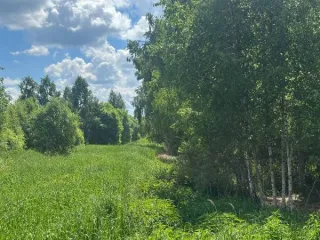 Земельный участок 1692 кв.м, Московская область, Кадастровый номер 50:09:0060103:802, Основной вид разрешенного использования 2.2