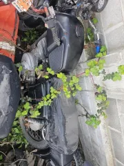 ИЖ П-5, государственный регистрационный знак 4704КВ23 – 1 шт. Motoland WY 150-5A, объем двигателя 150 см³, 2012 г.в., без государственного регистрационного знака – 1 шт. Honda Tact AF24 в корпусе черно-синего цвета, объем двигателя 49 см³ – 1 шт.