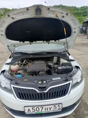 Skoda Rapid 2019, VIN XW8AG2NH3LK107079. С имуществом, являющимся предметом торгов, можно ознакомиться по предварительной записи у организатора торгов по адресу г. Мурманск, ул. Капитана Копытова, д. 25 и номеру телефона +79101701108 или электронной почте: torgibfl@mail.ru