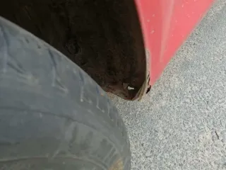 транспортное средство  Opel Astra,  VIN:W0L0AHL0875032065, 2006 г.в. Объект может быть приобретен с использованием заемных средств ПАО Сбербанк