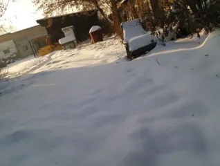 Земельный участок и нежилые помещения 233,2 кв.м Приморский край Земельный участок кадастровый номер 25:13:030209:1328 площадью 19822 кв.м категория земель: Земли населенных пунктов виды разрешенного использования: склады адрес местоположению: местоположение установлено относительно ориентира…