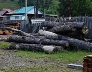Бензопилы: Husqvarna 240, Stihl MS 180, Stihl MS 180, Huter, Stihl MS 180/С, Husqvarna 240; принтер HP (Hewlett-Packard) DeskJet 2632; ноутбук Lenovo 2 шт; деревянные столбы 7 шт; дровяная древесина породы Лиственница 0,71 куб.м; дровяная древесина породы Лиственница 2,39 куб.м; деловая древесина…