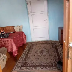 Жилое помещение с кадастровым номером 55:03:010105:259, местоположение: Омская область, Большеуковский р-н, с. Аев, ул. Дружбы, д. 5, кв. 2, площадь 53,90 кв. м., доля в праве 1/3; земельный участок с кадастровым номером 55:03:010105:87, для ведения личного подсобного хозяйства, местоположение…