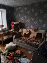 1/4 доля квартиры 36,7 кв.м и 1/4 доля жилого помещения, площадь: 36,7кв.м., адрес (местонахождение): Российская Федерация, Оренбургская область, м.о. Кувандыкский, с Новосамарск, ул Советская, д. 23, кв. 11, кадастровый номер: 56:15:0402001:486