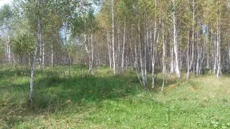 Земельный участок, кадастровый номер: 74:02:1212002:2864, вид права, доля в праве: Собственность, площадь: 1806 +/- 15 кв.м., дата государственной регистрации: 04.06.2021 г., 
Местоположение: Челябинская область, Аргаяшский район, д Саитова примерно 60 метров по направлению на восток от д. 6 по…