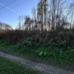 Земельный участок для садоводства 10 соток, Московская область. Категория земель: земли сельскохозяйственного назначения. Виды разрешенного использования: для ведения садоводства. Магазины находятся примерно в 20 минутах езды на автомобиле. Ближайший храм расположен неподалёку от СНТ. Участок…