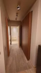 Жилое помещение (квартира) с кадастровым номером 77:06:0004004:3906, площадью 171,5 кв.м, 
Расположенное по адресу: г. Москва, ул. Новочерёмушкинская, д. 44, корп. 3, кв. 209