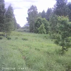 Земельный участок 1207 кв.м, Московская область, Шаховская, д. Артемки, примерная площадь 1207 кв.м., категория – земли населенных пунктов, расположен по адресу: Российская Федерация, Московская область, м.о. Шаховская, д. Артемки, кадастровый квартал 50:06:0110202, цель предоставления – для…