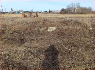 Земельный участок площадью 1400 кв.м, расположенный по адресу: Курганская область, Далматовский район, с. Новопетропавловское, ул. Советская, д. 25. Кадастровый номер: 45:04:040302:6. На участке расположено незарегистрированное строение (кад. номер 45:04:040302:428), находящееся в ветхо-аварийном…