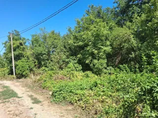 Земельный участок 540 кв.м, Краснодарский край. Площадь: 540 кв.м. Местоположение: установлено относительно ориентира, расположенного в границах участка. Почтовый адрес ориентира: Российская Федерация, Краснодарский край, г. Краснодар, садоводческое товарищество № 6 завода "Kalinina", ул. Трудовая…