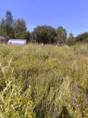 Земельный участок 1539 кв.м, Иркутская область, Ангарск, СНТ «Виктория-3», для ведения садоводства, площадь 1539,00 кв.м., адрес (местонахождение): Иркутская область, г. Ангарск, СНТ «Виктория-3», участок 11, кадастровый (условный) номер: 38:26:040609:13