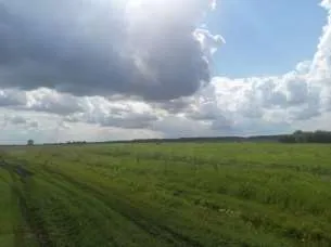 Право долгосрочной аренды земельного участка площадью 1 943 853 кв.м, кадастровый номер: 02:47:121101:10, адрес: Местоположение установлено относительно ориентира, расположенного в границах участка. Почтовый адрес ориентира: Республика Башкортостан, р-н. Уфимский, с/с. Николаевский. Имеются…