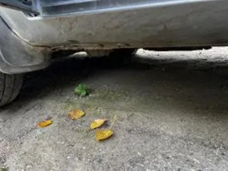 Kia Sportage 2006 года, государственный регистрационный знак С 152 КХ 02. Страна-производитель: Россия. VIN: KNEJE55157K313732. Год выпуска: 2006. Заводской номер машины (рамы): отсутствует. Номер двигателя: D4EA 6Н239977. Цвет: темно-серый. Паспорт транспортного средства (ПТС): 77 ТТ №849481 от…