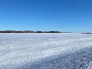 Право аренды на земельный участок, категория земель: Земли с.-х. назначения – Для ведения с.-х. производства, площадь: 1 602 288 кв. м., кадастровый номер 54:13:025312:348, местоположение: Новосибирская область, Краснозерский район, Колыбельский с/с.