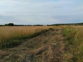 Земельный участок 1500 кв.м, КН 50:30:0050204:1914, Московская область. Площадь земельного участка: 1500. Кадастровый номер земельного участка: 50:30:0050204:1914. Основной вид разрешенного использования: 2.2